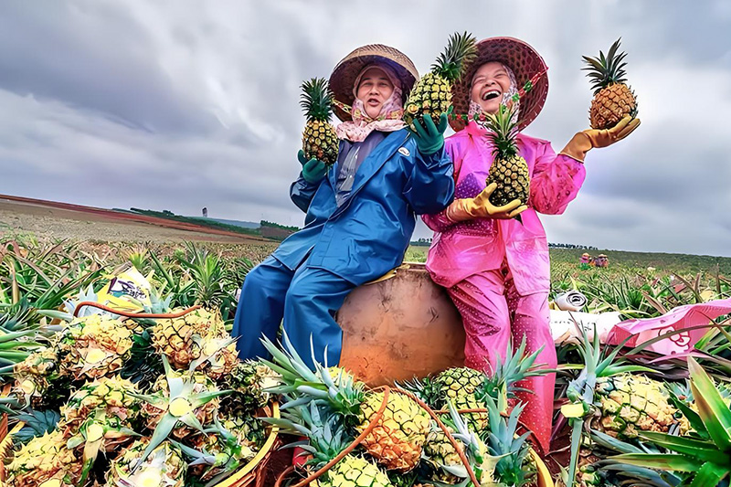 Three Principles for Scientific Application of Compound Fertilizers and Non-Recommended Scenarios