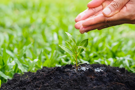 High Quality Npk Fertilizer.jpg